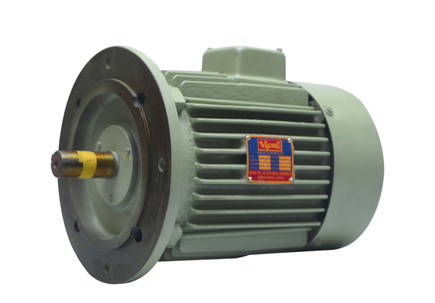 Flange mounted motor manufacturer in Vapi